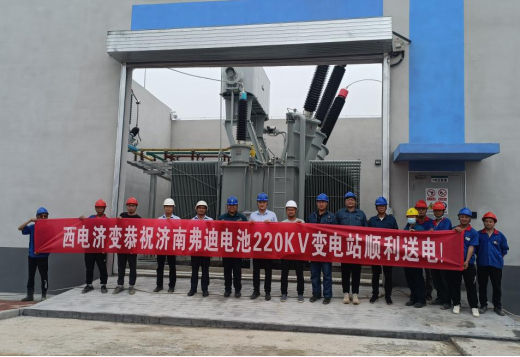 Jinan Ferdi Battery Co., LTD. 220kV substation